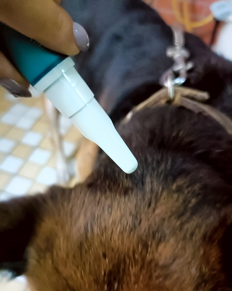 女人知己試用大隊,口碑行銷,部落客行銷,Goodmofamily歸毛家族 寵物肌膚救星組,歸毛家族 寵物肌膚救星,舒敏保濕洗毛乳,護膚噴液,精萃營養霜,博士30年生技專業,給足皮膚營養保護力,無抗生素 無類固醇,神經醯胺,19種綜合胺基酸,榮獲SNQ國家認證,上萬毛爸媽見證,3週幫助皮膚健康,NO.1寵物肌膚口碑霸主,寵物第一護膚領導品牌